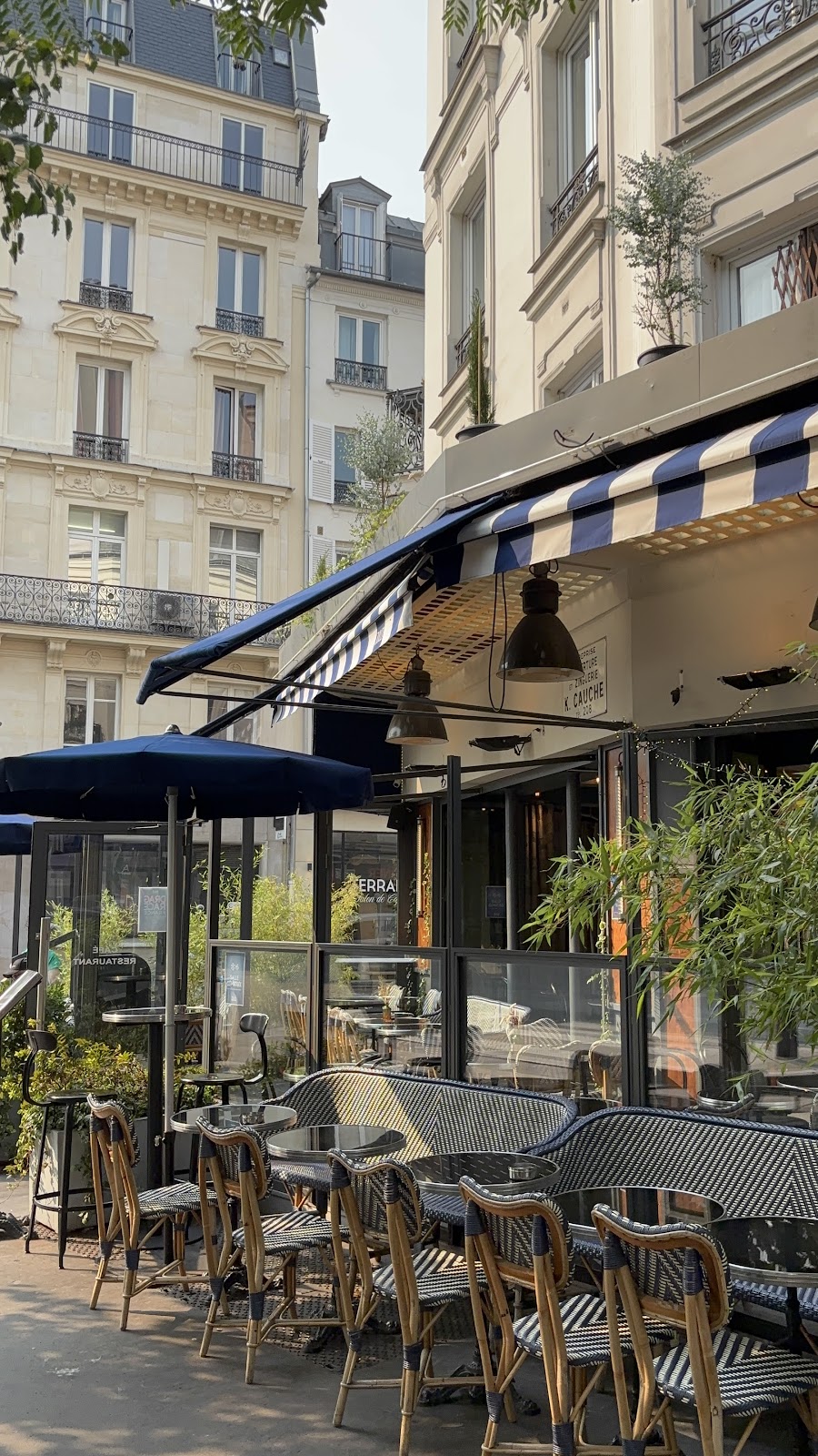 La terrasse